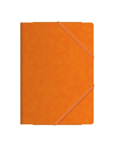 CARP. SOLAP. DOHE Fº CARTON NARANJA